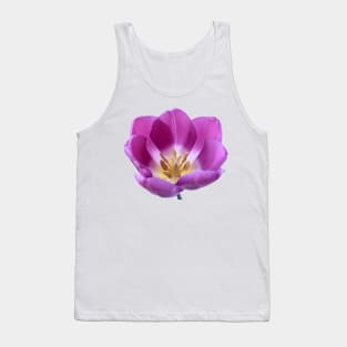 Tulipa  'Purple Flag'    Triumph Tulip Tank Top